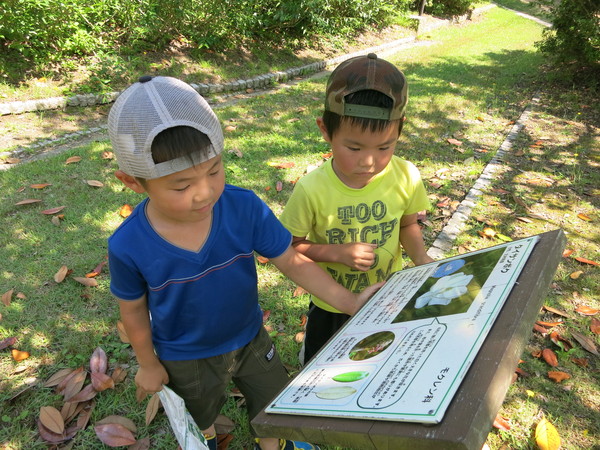 神戸市立森林植物園_e0081336_2294345.jpg