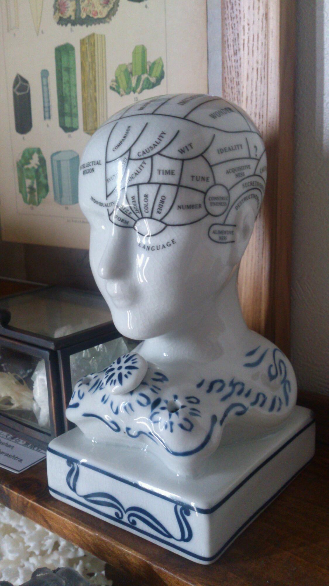 骨相学モデルのインク壺_f0280238_12191497.jpg