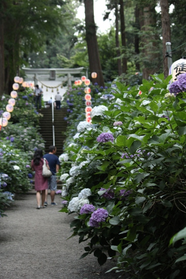 鹿沼 磯山神社のあじさい祭り 日々の贈り物 私の宇都宮生活 鹿沼 磯山神社のあじさい祭り 日々の贈り物 私の宇都宮生活