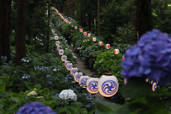 鹿沼 磯山神社のあじさい祭り 日々の贈り物 私の宇都宮生活 鹿沼 磯山神社のあじさい祭り 日々の贈り物 私の宇都宮生活