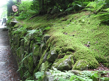 a0243143_20807.jpg