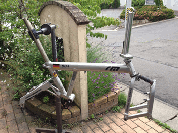 a0026445_2212879.gif