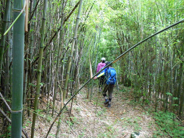 里美農村公園～八天岳～国見山往復縦走_a0206345_21511753.jpg