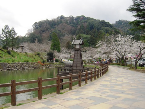 鹿野城跡公園の桜七分咲き 鳥取市鹿野町 旅の記憶 関西 奈良メモ 鹿野城跡公園の桜七分咲き 鳥取市鹿野町 旅の記憶 関西 奈良メモ