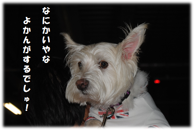 b0242873_26081.png