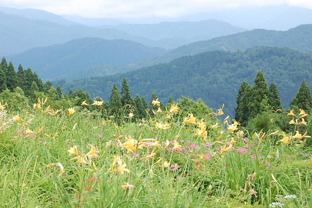c0022275_1045223.jpg