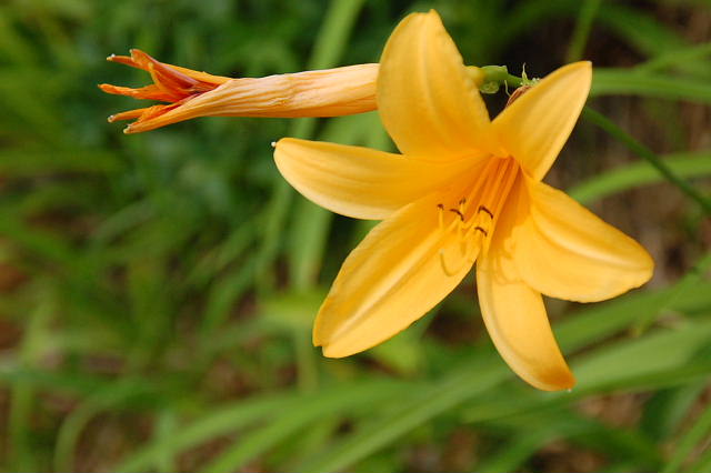 c0022275_1053780.jpg