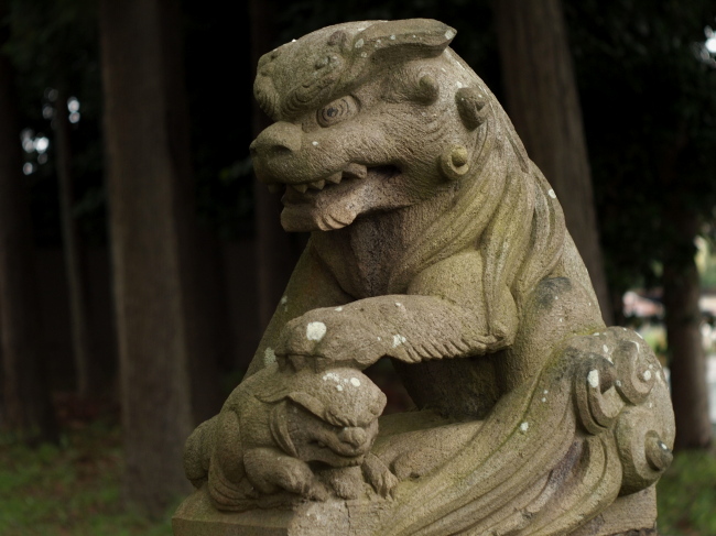 子の神社　　　　　　zeiss.Tessar_a0085679_1952522.jpg