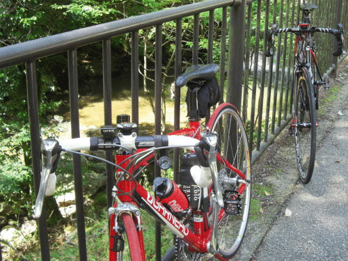 c0095679_1655599.gif