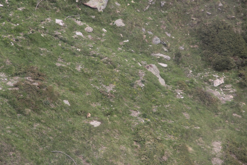 e0024081_01329.jpg