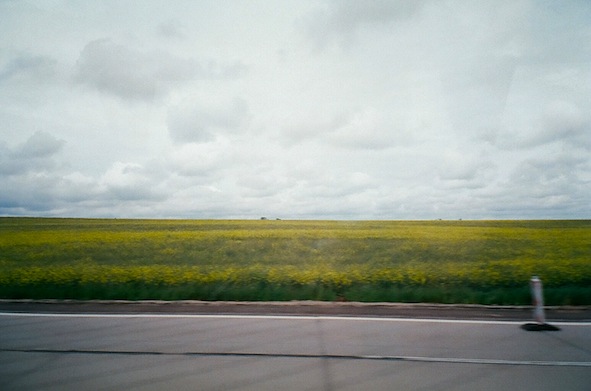 f0046982_3343533.jpg