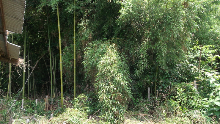 c0212083_2158521.jpg