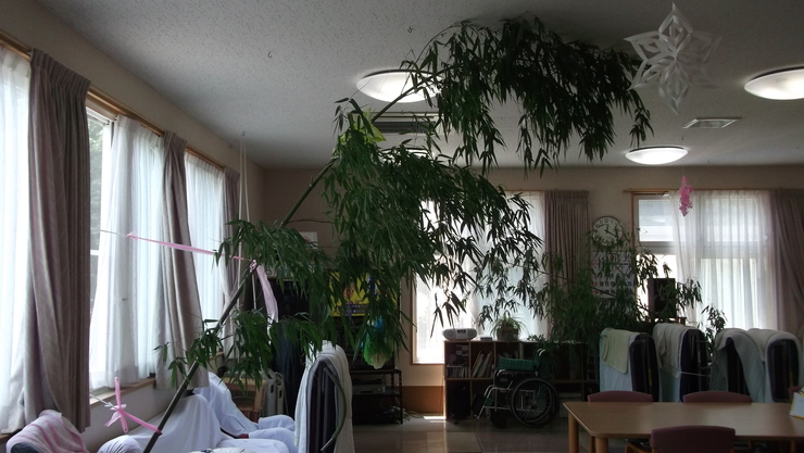c0212083_2253999.jpg