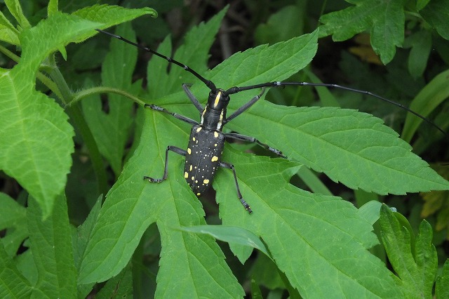 e0070891_2161775.jpg