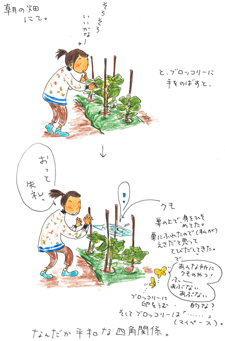 f0236291_8131917.gif