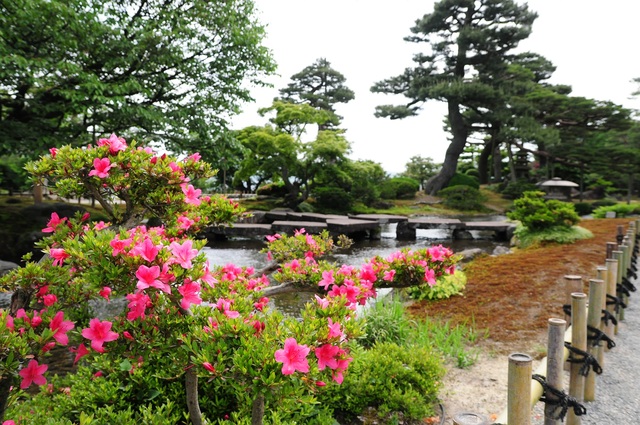 e0244492_1102199.jpg