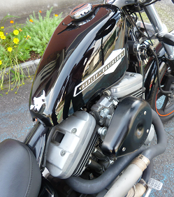 d0282395_20314479.png