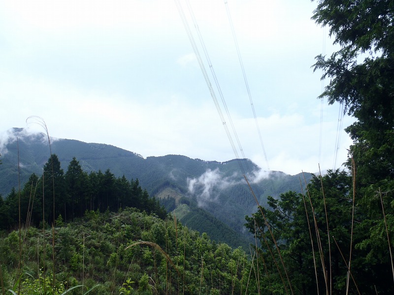 c0147398_113553.jpg