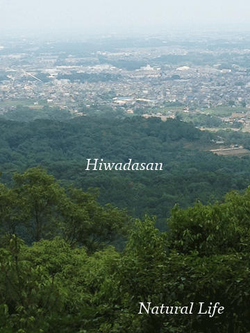 b0162000_13552848.gif