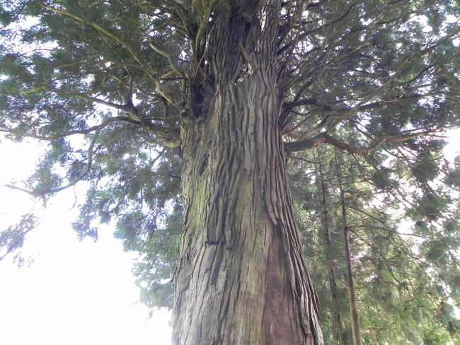 f0144003_2301811.jpg