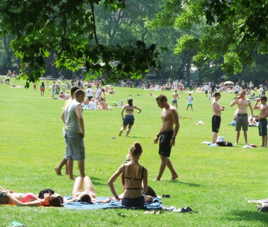 初夏のセントラルパーク、巨大な芝生広場はまるでビーチ_b0007805_22444629.jpg