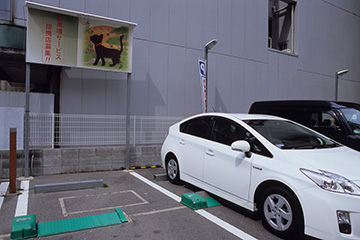 b0259218_3842.jpg