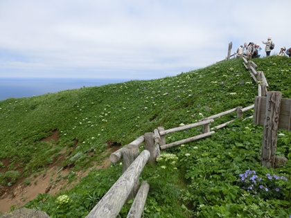 礼文島　トレッキング（2）_a0105023_22444335.jpg