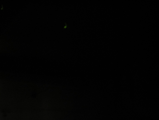 d0195623_17511589.jpg