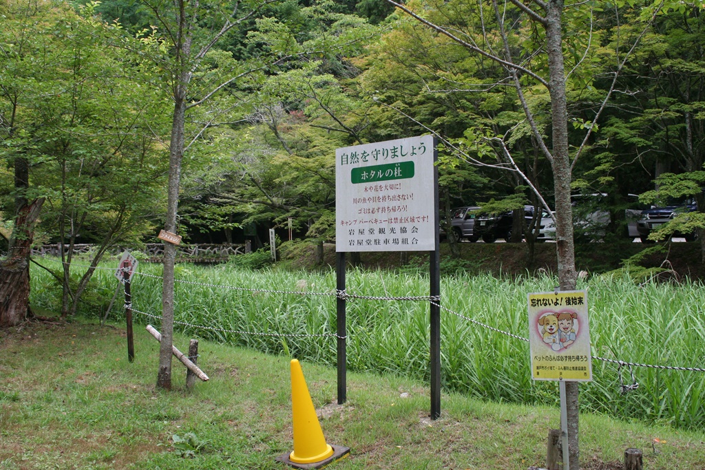 2013 岩屋堂のホタル_d0181824_23524692.jpg