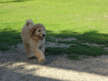 c0254426_1111192.gif