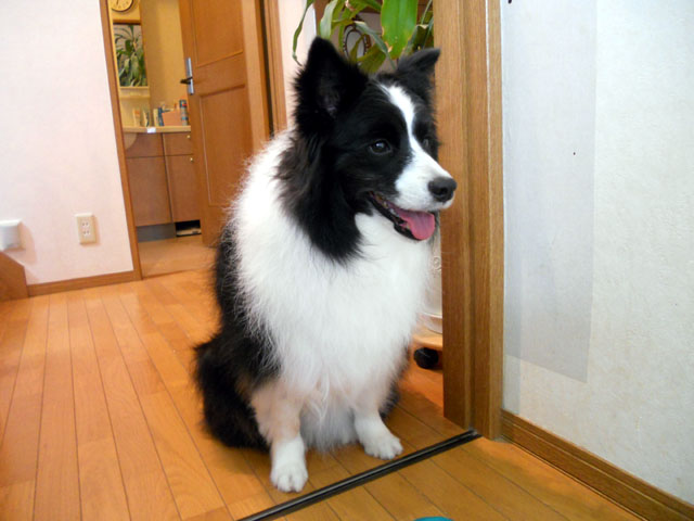 d0059230_858793.jpg