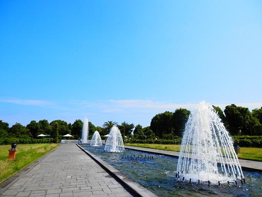 須磨離宮公園にて和の花を愛でる_c0081032_21141059.jpg