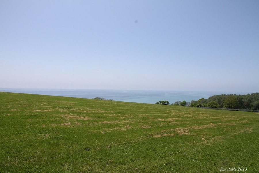 c0240132_511231.jpg