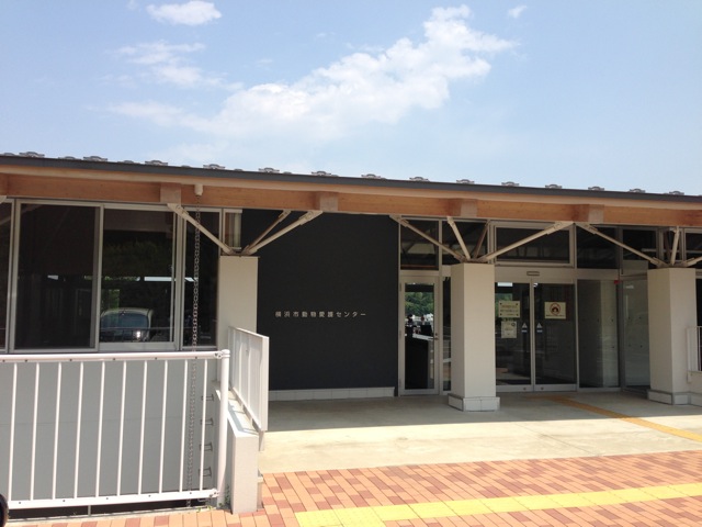 *ボランティア企画*室内グループトレーニング教室のお知らせ_c0099133_9311341.jpg