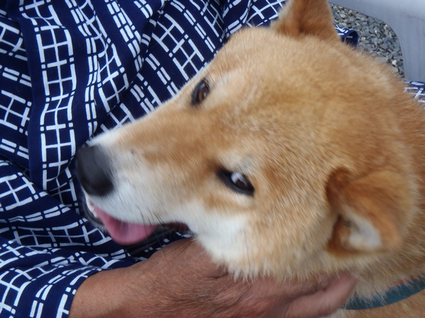 a0054240_04216.jpg