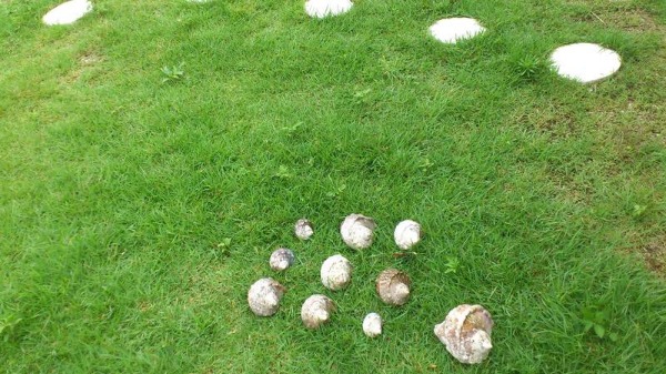 f0229844_20123160.jpg