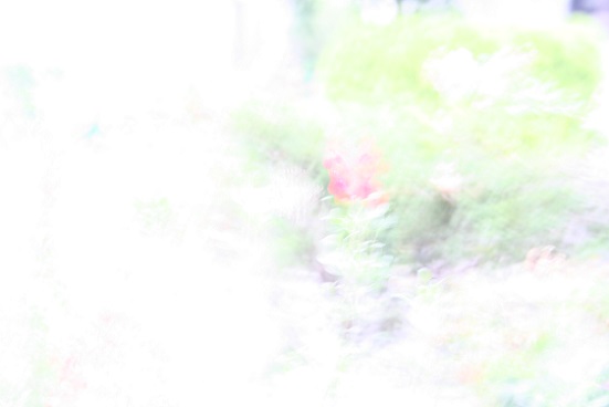 e0126350_176574.jpg