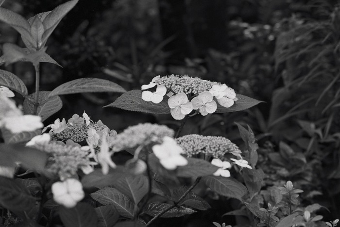 e0264158_1045843.jpg