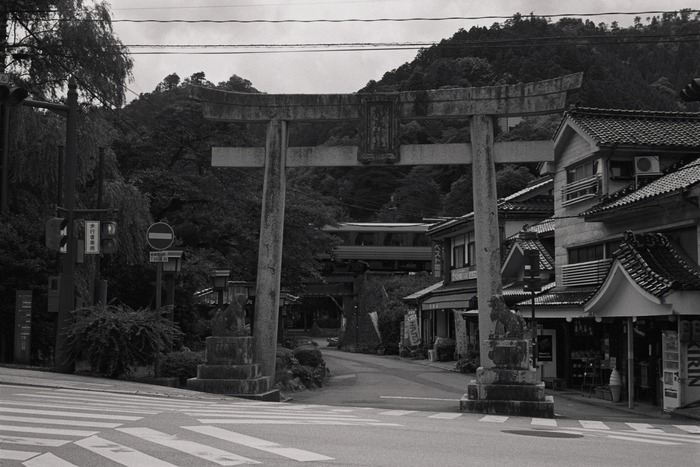 e0264158_9165640.jpg