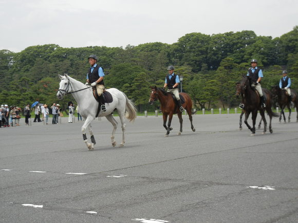 ’13,6,30(日)はとバスで東京観光!_f0060461_9491637.jpg