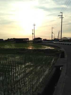 田んぼと夕焼け。_e0136066_1853504.jpg