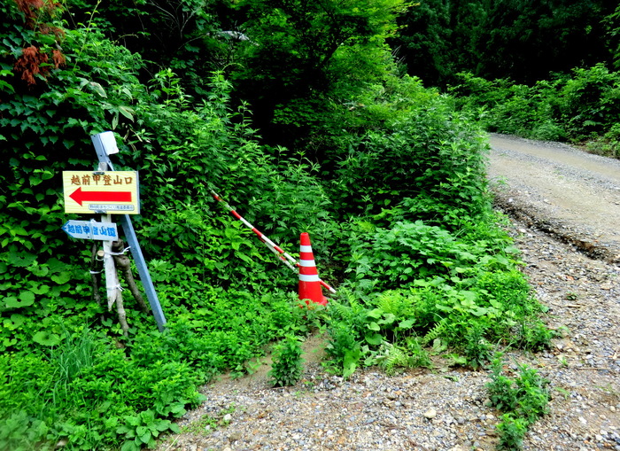 b0185573_14454839.jpg