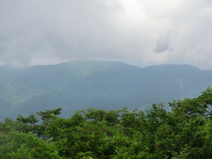 b0185573_8183996.jpg