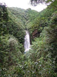霧島へ _d0195183_21535851.jpg