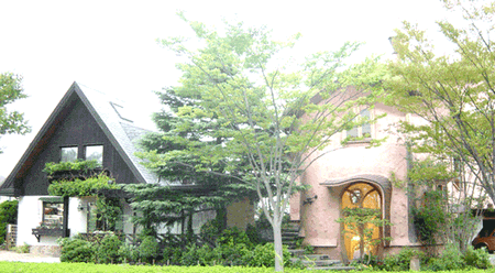 f0231189_9475469.gif