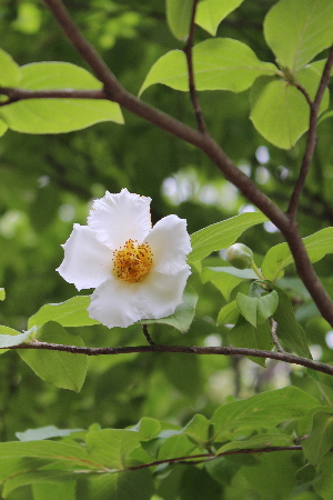 b0223592_224854.jpg
