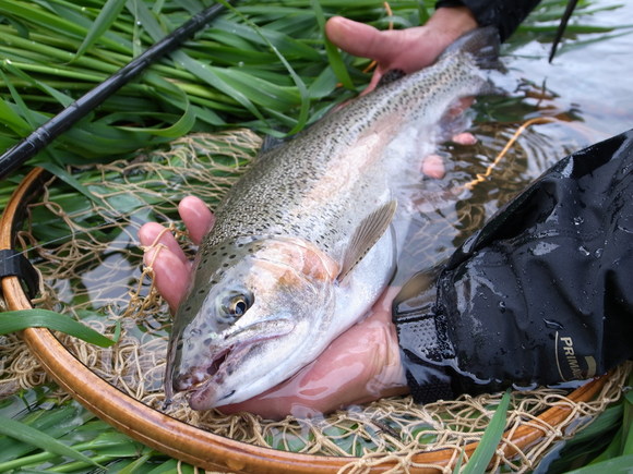 Skagit Camp In 天塩川_d0156298_2371790.jpg