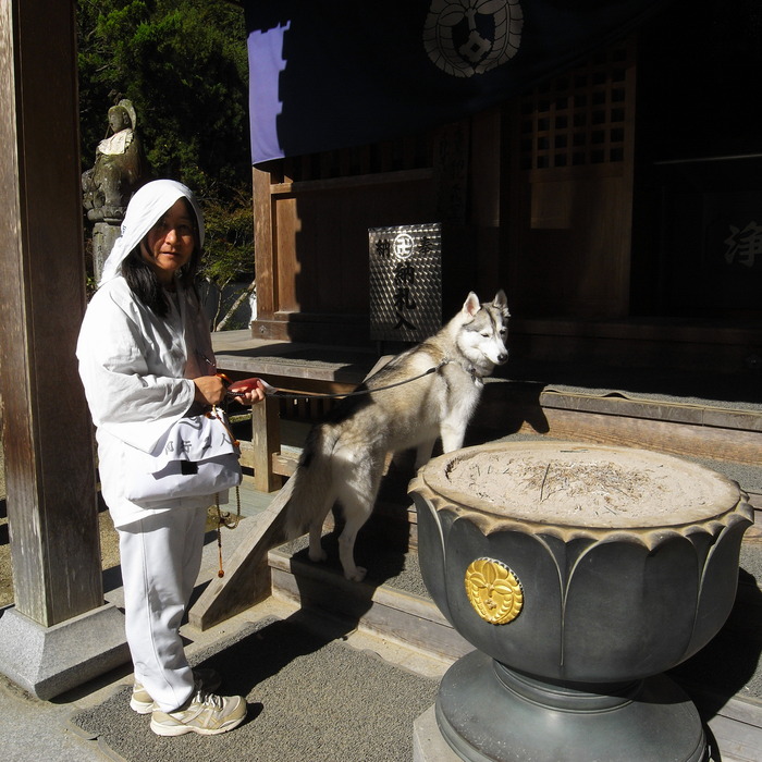 Memory of the second pilgrimage　1200km with husky HANA_c0049299_18463367.jpg