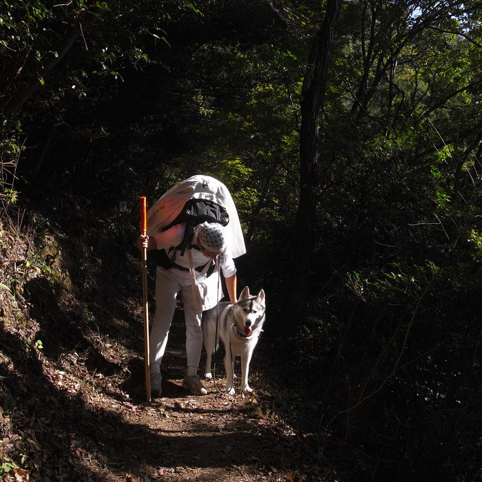 Memory of the second pilgrimage　1200km with husky HANA_c0049299_2013972.jpg