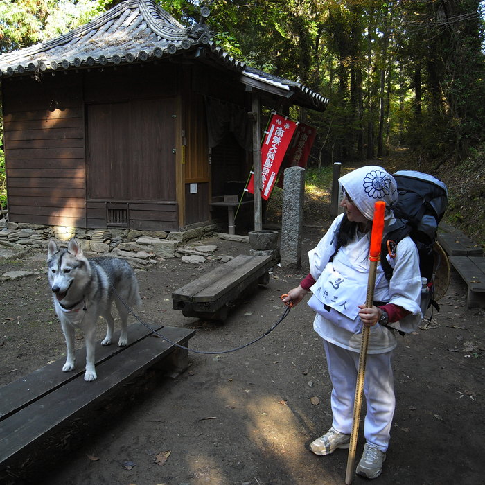 Memory of the second pilgrimage　1200km with husky HANA_c0049299_20153487.jpg